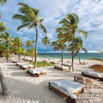 Paquete turístico, Punta Cana, Vola.