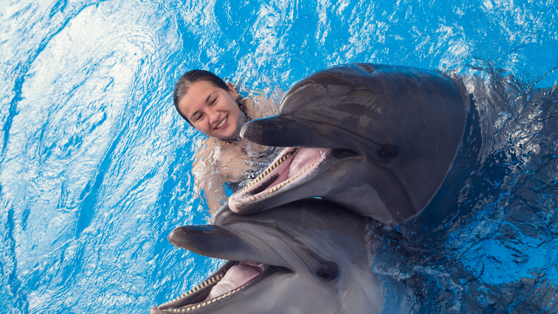 Dolphin discovery Cancún