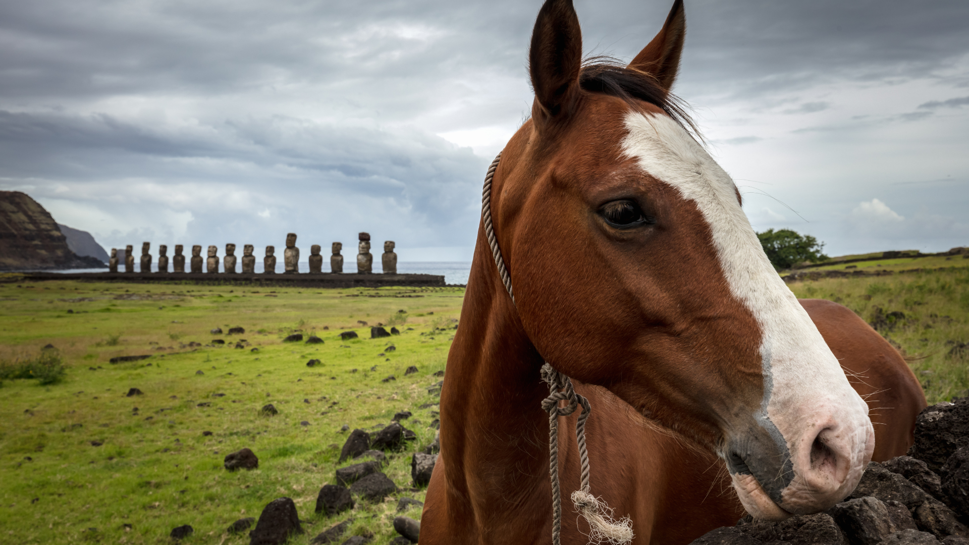 Cabalgata Rapa Nui: Medio Dia